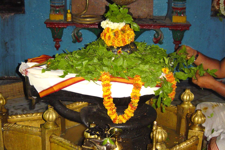 துளசி வில்வத்தின் சிறப்புக்கள்!  சிவபெருமானுக்கு வில்வ மாலையே அணிவதற்கு ஒரு காரணம் உண்டு. மன